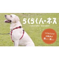 らくらくハーネス